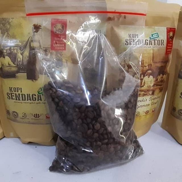 

Biji kopi luwak robusta jepara