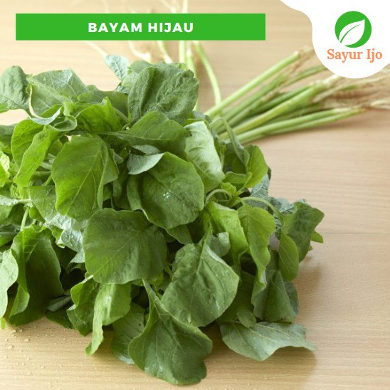 

Bayam 480 - 500 Gram Per Ikat Fresh Grade A Green Spinach Amaranthus Sayur Hijau Segar