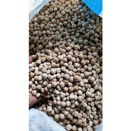 

kapulaga kapol cucian kering bersih 1kg