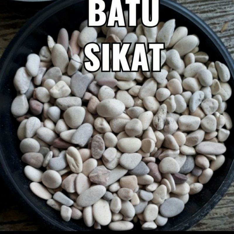 Batu coral, batu sikat panca warna 1 kg, batu taman, ukuran kecil, batu teras, batu putih