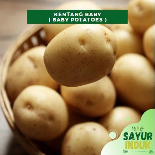 

Sayur Induk - Baby Potatoes 250 Gram Fresh Grade A Kentang Baby