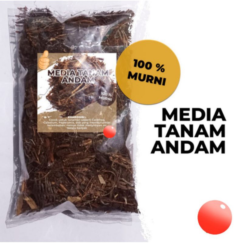 ANDAM Media Tanam