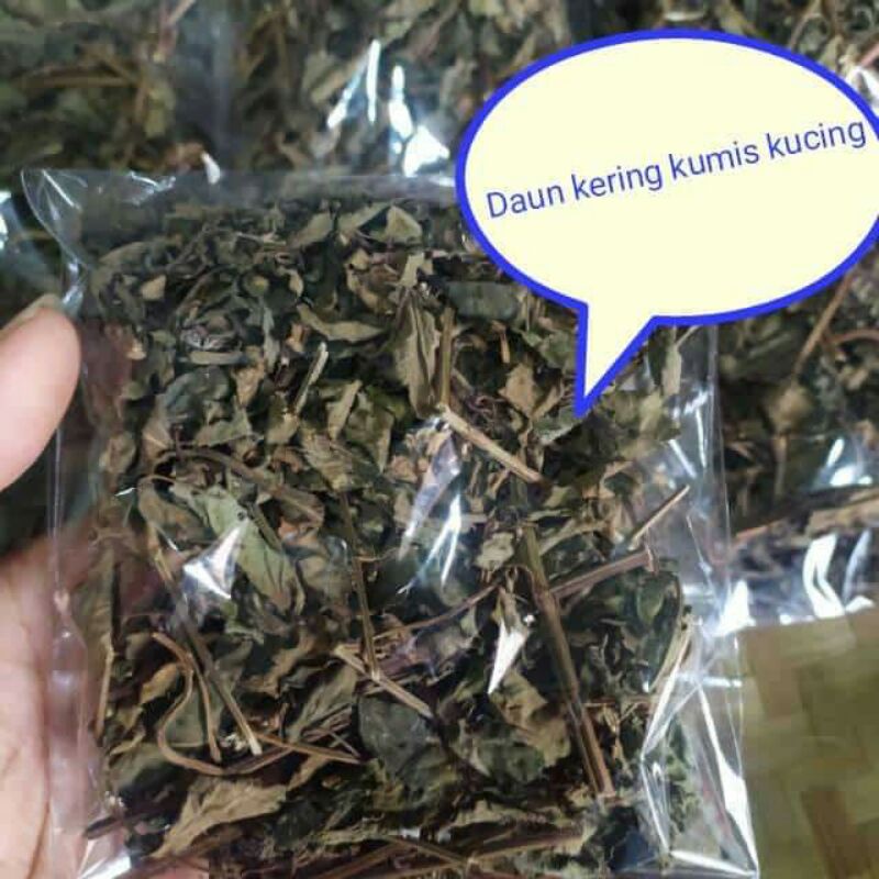 

Daun kumis kucing kering