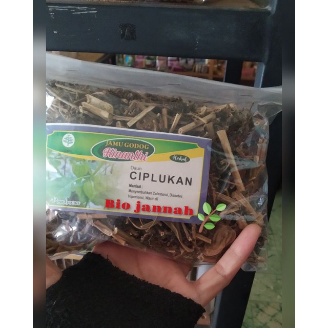 

ciplukan kering 50 gr
