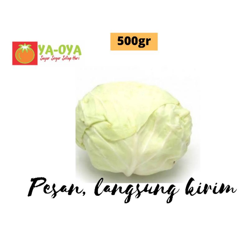 

KOL/KUBIS 500gr