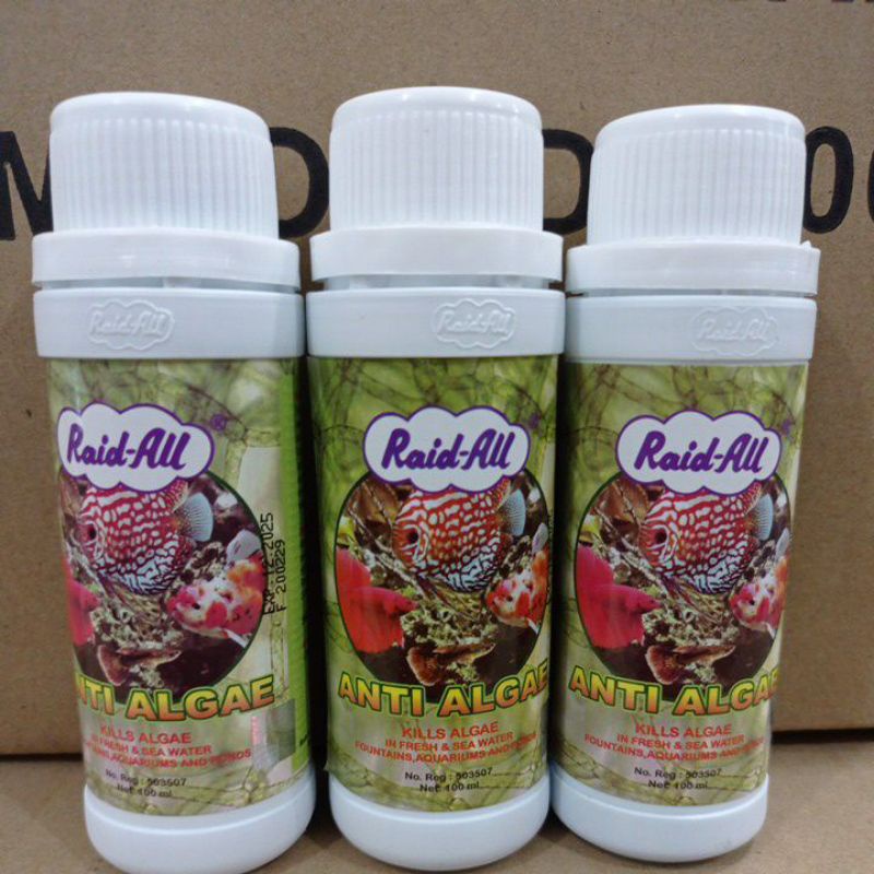 Obat ikan RAID ALL ALGAE LUMUT 100ML