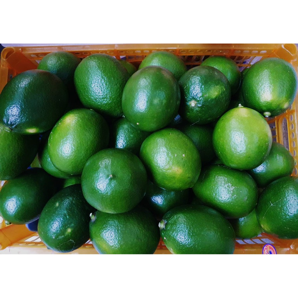 

Lemon California Lokal Toko Buah Tangerang