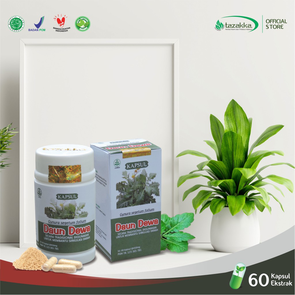 KAPSUL DAUN DEWA KUALITAS EKSTRAK ORIGINAL | Memeperlancar Peredaran DARAH Secara Alami