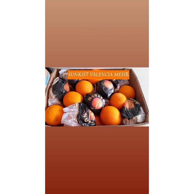 

Sunkist Valencia Mesir Citra Segar Sehat per Box 10 kg
