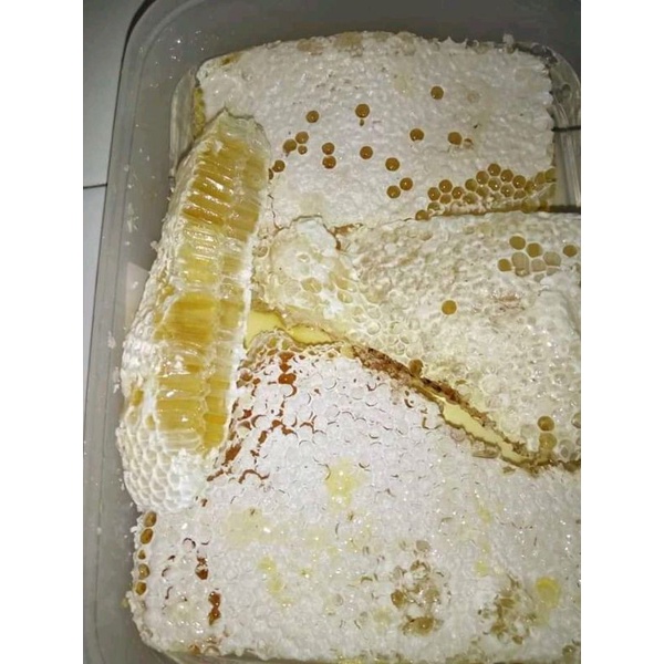 

Madu Odeng