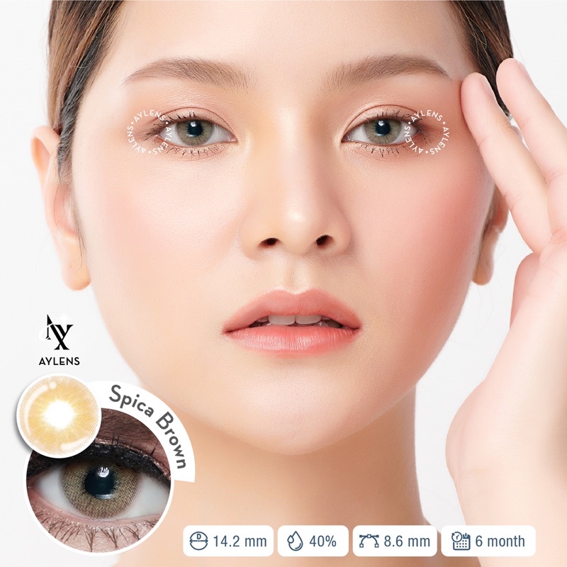 SOFTLENS KOREA AYLENS - SPICA SERIES (GREY, BROWN)