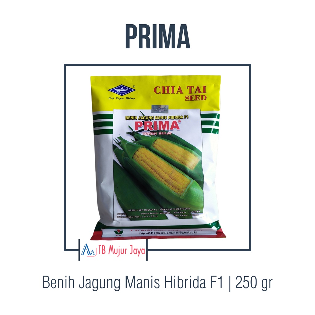 Benih Jagung Manis Prima 250 gr