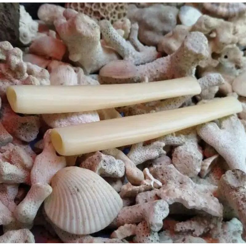 PIPA CANGKLONG TULANG SAPI POLOS