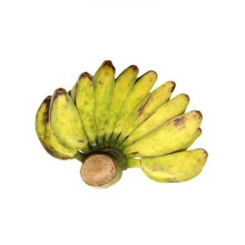 

pisang kepok / pisang ambon / pisang uli