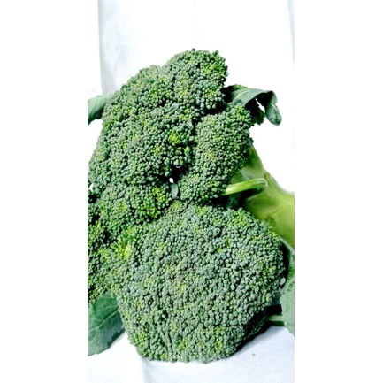 

Brokoli Hijau Segar 500gr