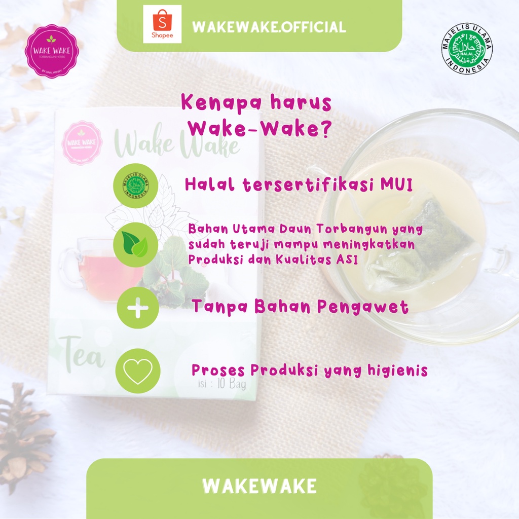 ASI Booster Torbangun - Wake Wake Tea (Daun bangun bangun) - 10 Sachet