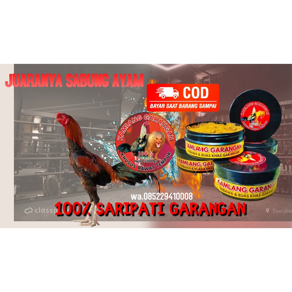 JAMU AYAM ADUAN DOPING AYAM ADUAN AYAM BANGKOK OBAT AYAM BANGKOK FITAMIN AYAM BANGKOK AYAM ADUAN KAM