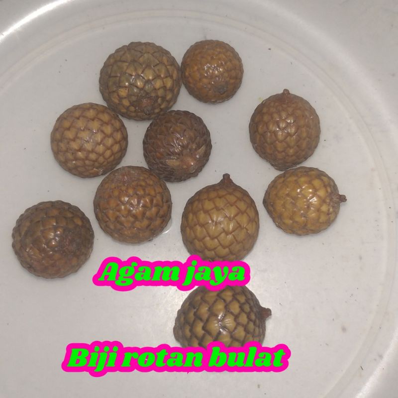Biji rotan bulat isi 10 biji