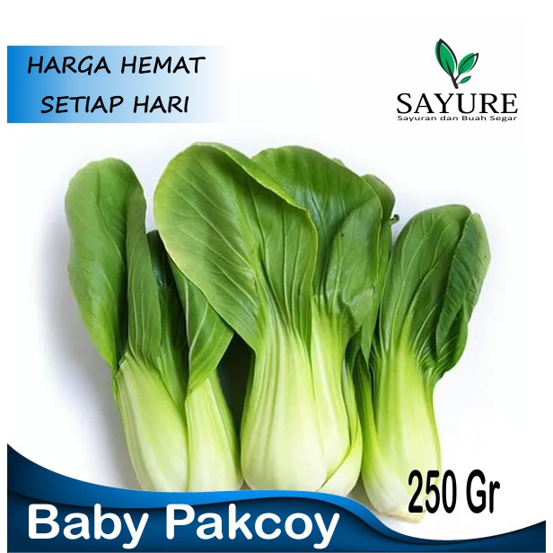 

SAWI POKCAY PAKCOI FRESH SAYUR BERKUALITAS 250 GR