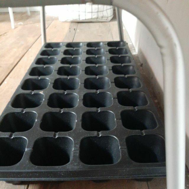 Tray Semai 32 Lubang