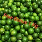 

Jeruk Sonkit uk ½ kg | Jeruk Kunci uk ½ kg | Sonkit Pontianak + Gratis Bonus