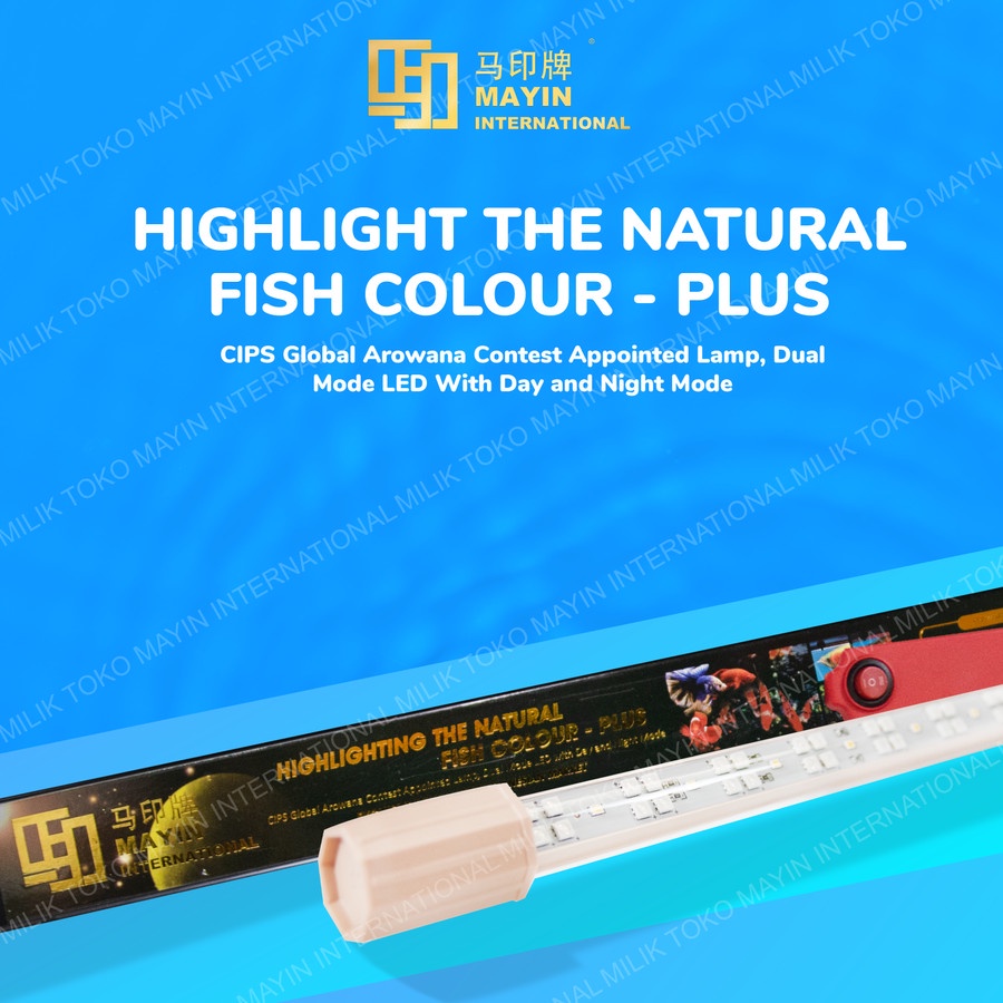 Lampu LED MAYIN PLUS Aquarium ikan Arowana / Arwana / Mas Koki - 172cm