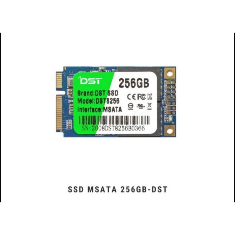 SSD MSATA 256GB DST BARU