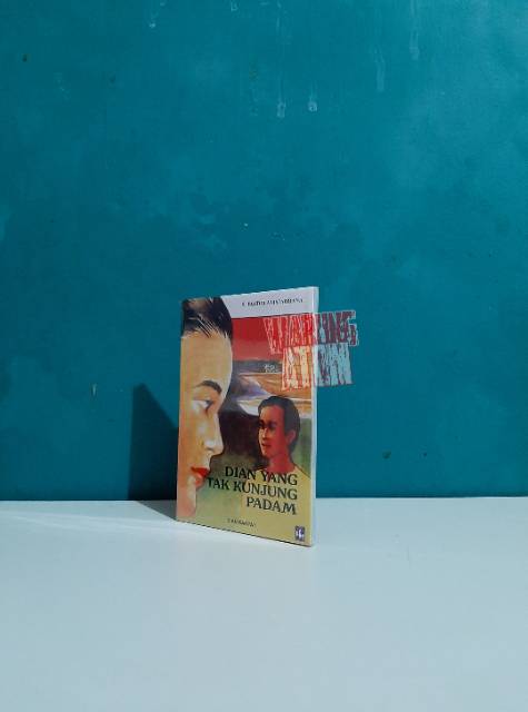 Buku Novel Dian Yang Tak Kunjung Padam Shopee Indonesia