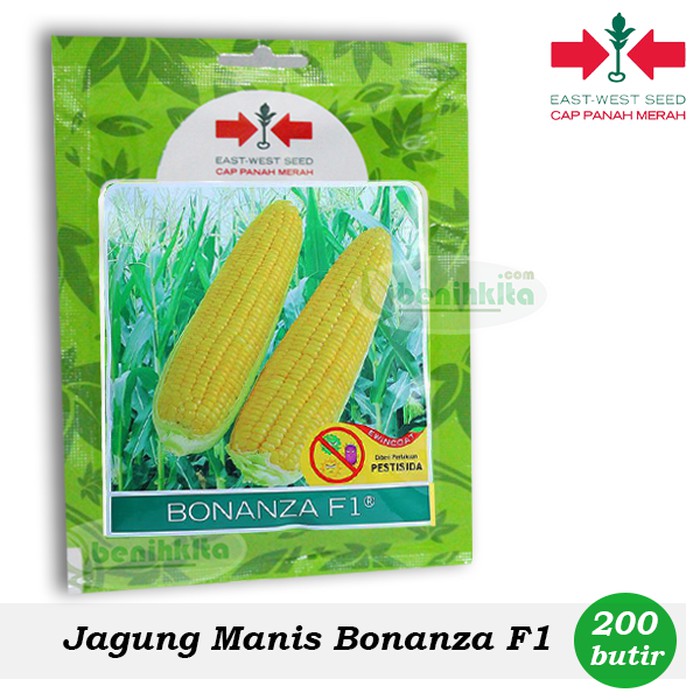 BenihBibit Jagung Manis Bonanza F1 Cap Panah Merah