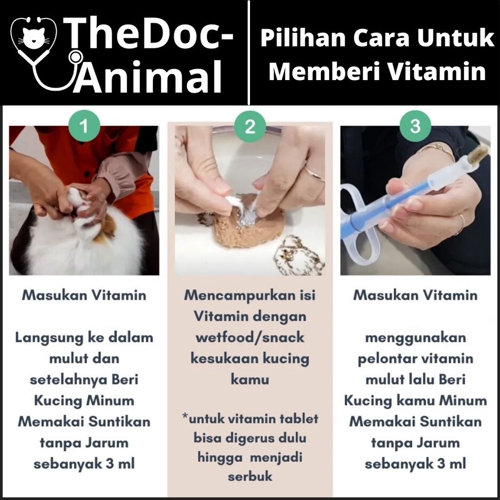 Vitamin Kucing Untuk Stamina Imunitas Dan Penggemuk Kucing FEZONE