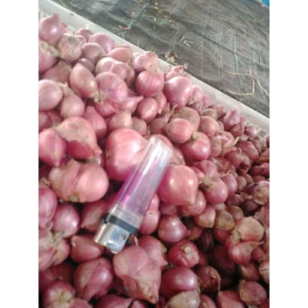 

Bawang merah kering isi 5kg