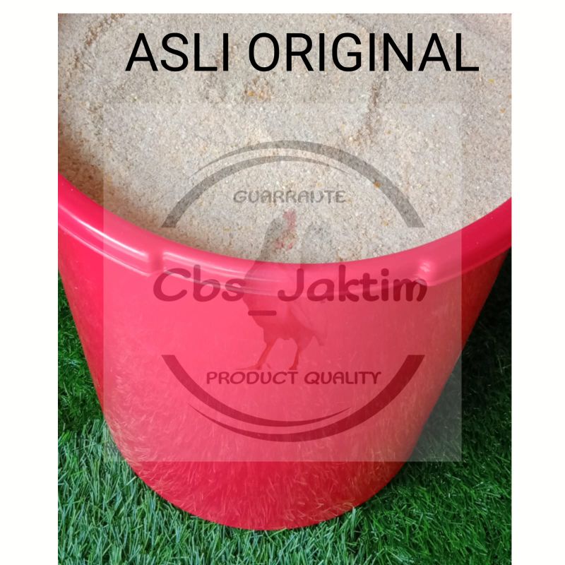 pakan anakan ayam serama ayam kate ayam hias dan semua jenis doc umur 0 hari sampai 1 bulan