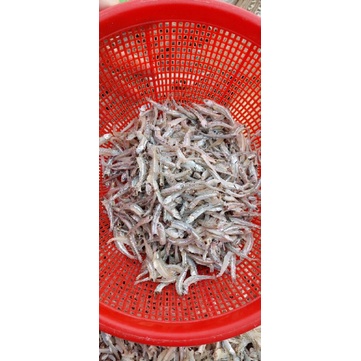 

IKAN TERI JENGKI-1KG