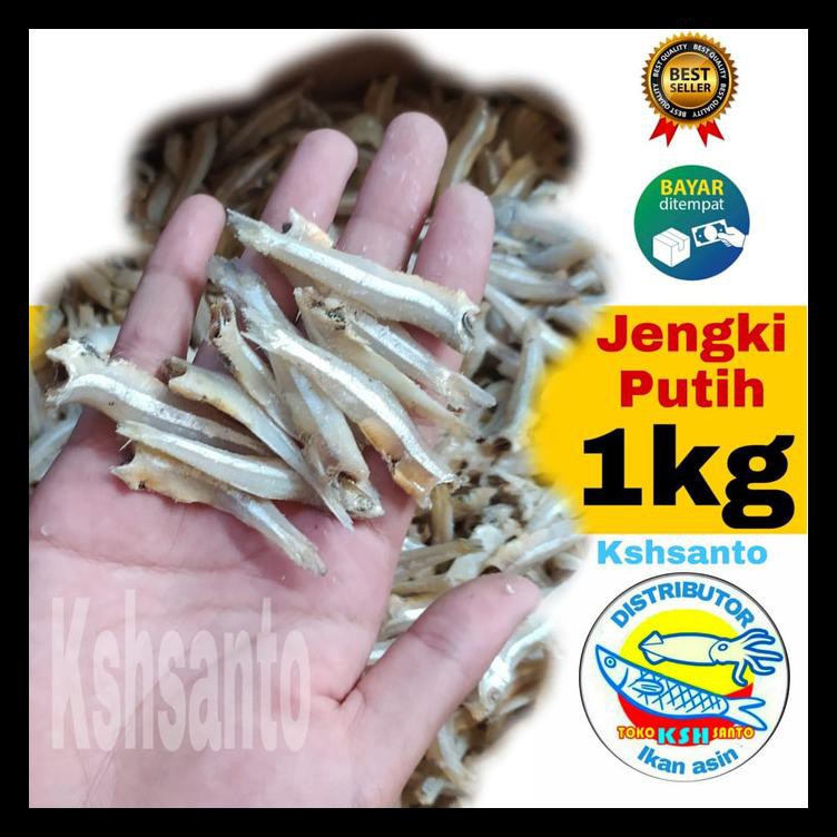 

TERBARU! IKAN ASIN TERI JENGKI PUTIH 1KG PALING MURAH