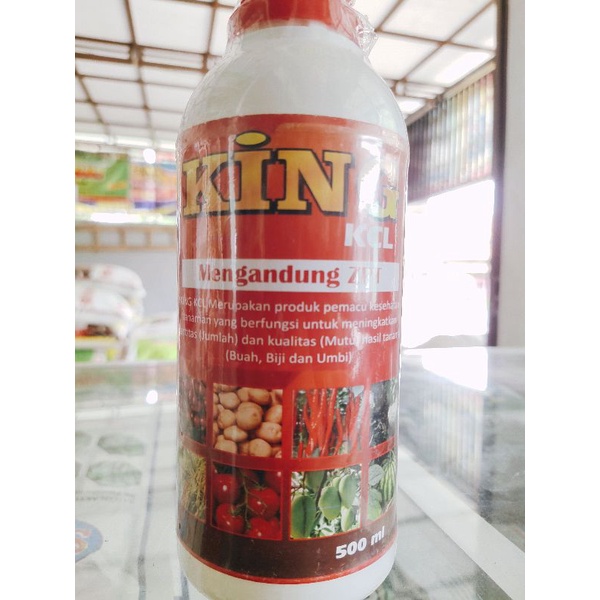 KCL CAIR+ ZPT ORIGINAL 500ML