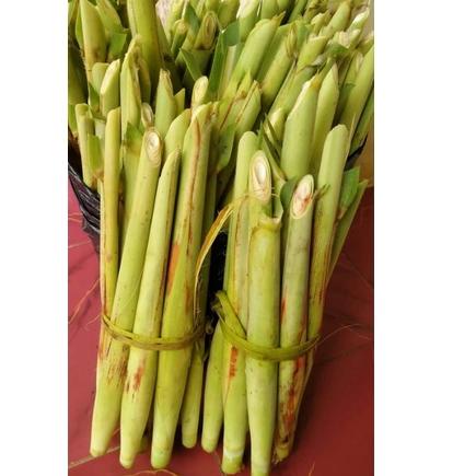 

➱Serba Murah✽➱ Terubuk / Tebu telur Berat1Kg 45 ➱