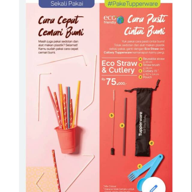 Eco straw + cutlery