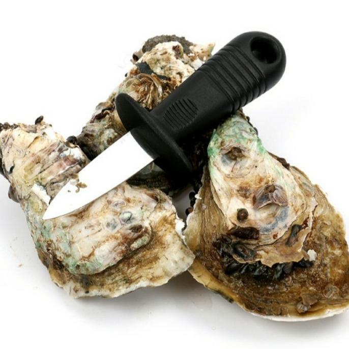 Stainless Steel Oyster Opener Knife Seafood (Pisau Oyster)