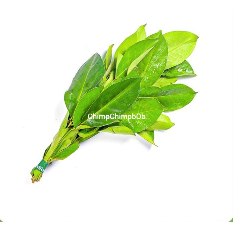 

DAUN SALAM 1 IKAT SEGAR / BAY LEAF FRESH