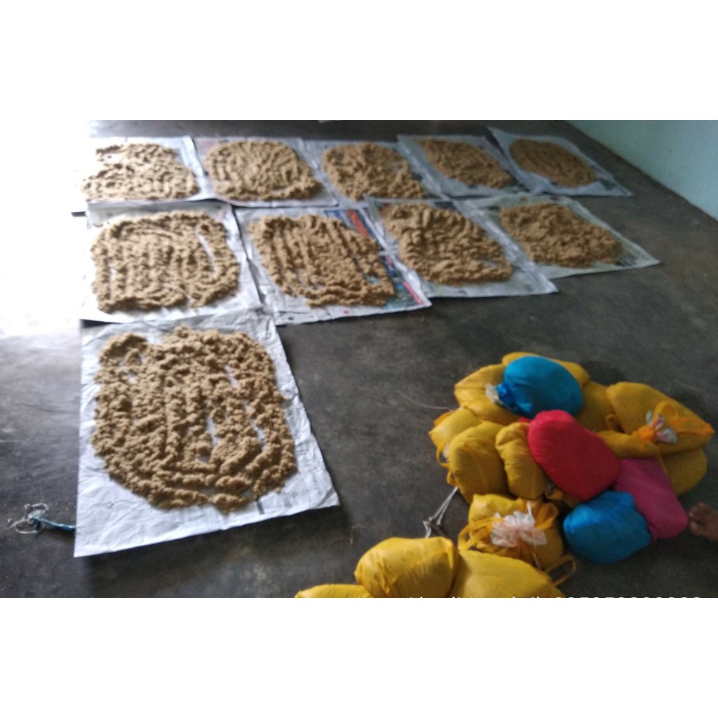 Telur jangkrik kalung super murah 500 gr