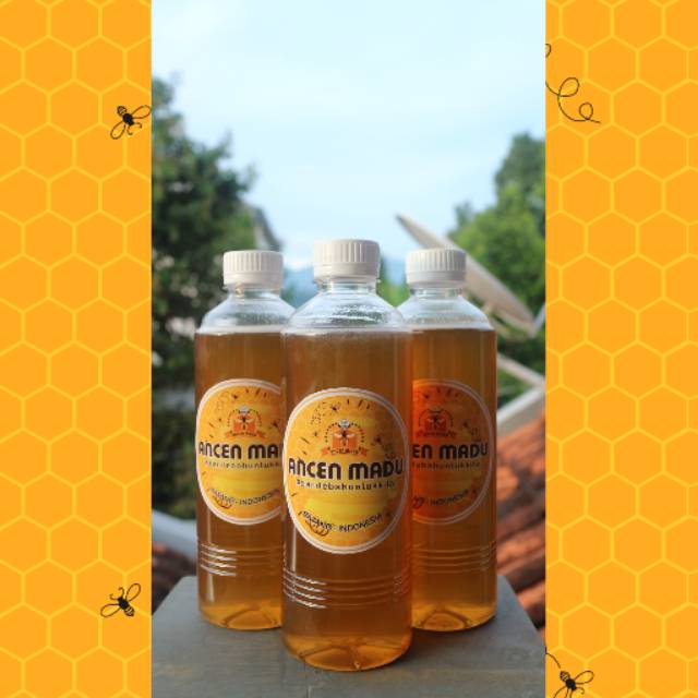 

Big Family Bottle Ancen Madu Murni 100% 500ml