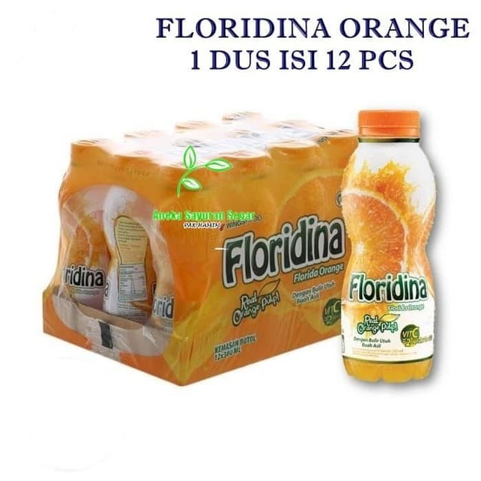 

FLORIDINA 350ML 1 CTN ISI 12