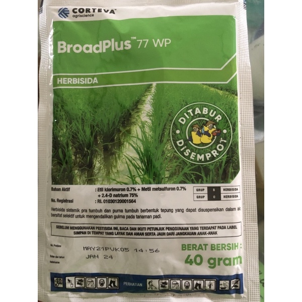 BroadPlus