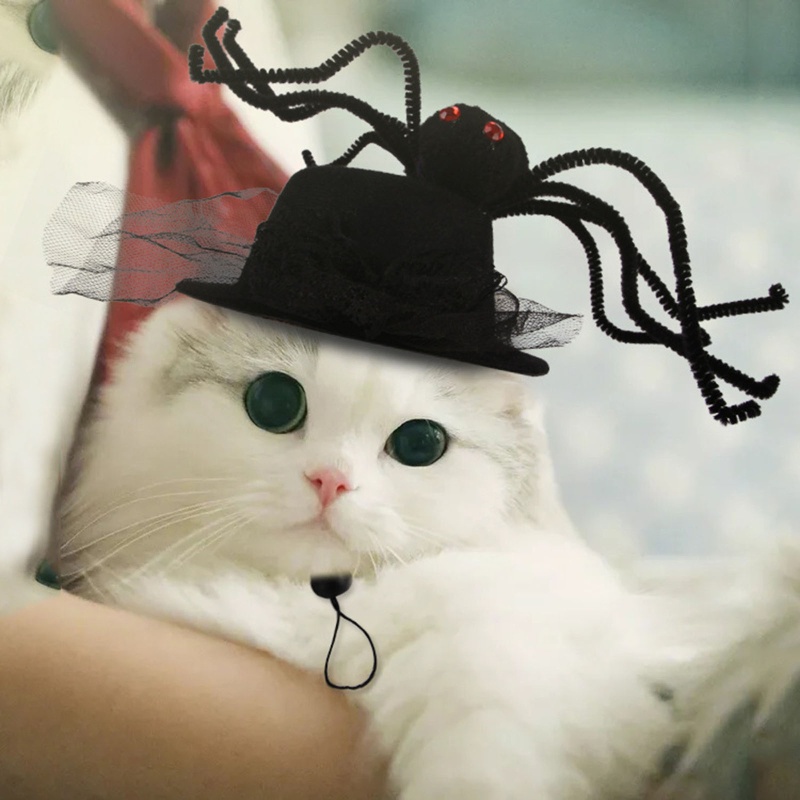 Topi Halloween Desain Laba-Laba Untuk Aksesoris Foto Anjing Dan Kucing Peliharaan