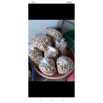 

kacang kulit sangrai