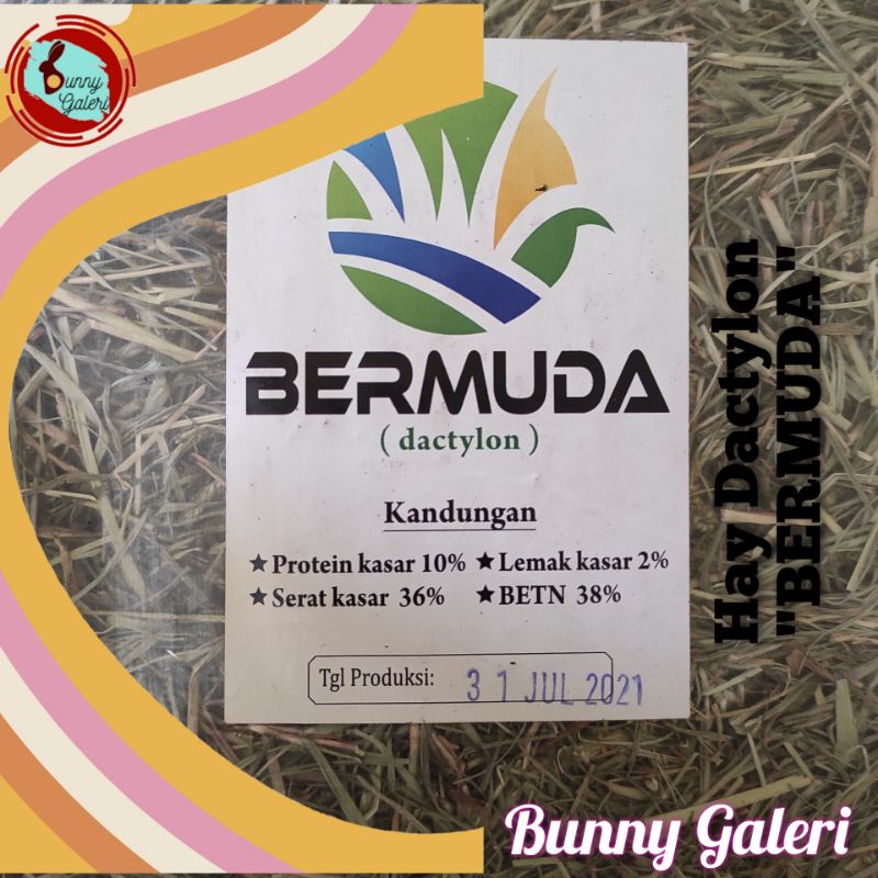 HAY DACTYLON "BERMUDA" kemasan 2 kg