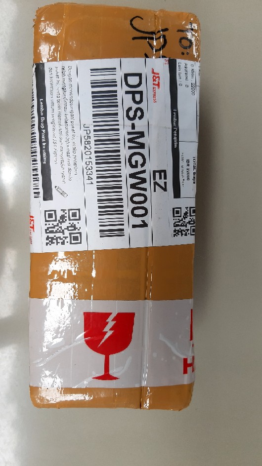 Sedling Anggrek Cattleya