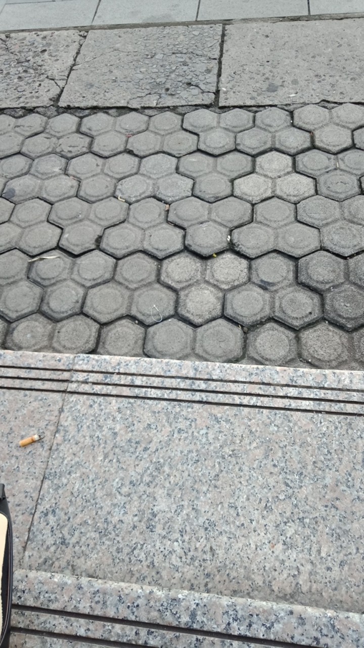 Bantal Sofa Motif Summer Breeze Tropical Forest