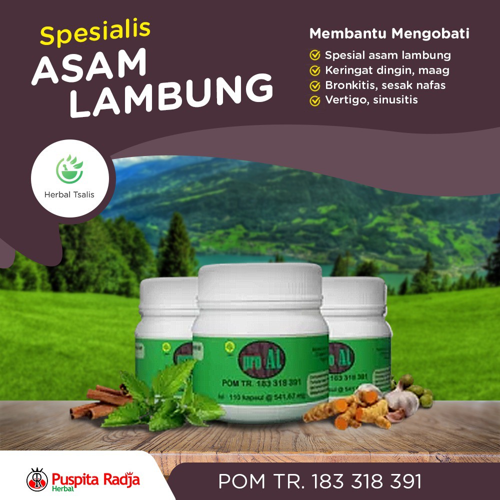 Pro Al Obat Asam Lambung Keringgat Dingin Maag Bronkis Sesak Nafas Vertigo Puspita Radja Herbal Prh Shopee Indonesia