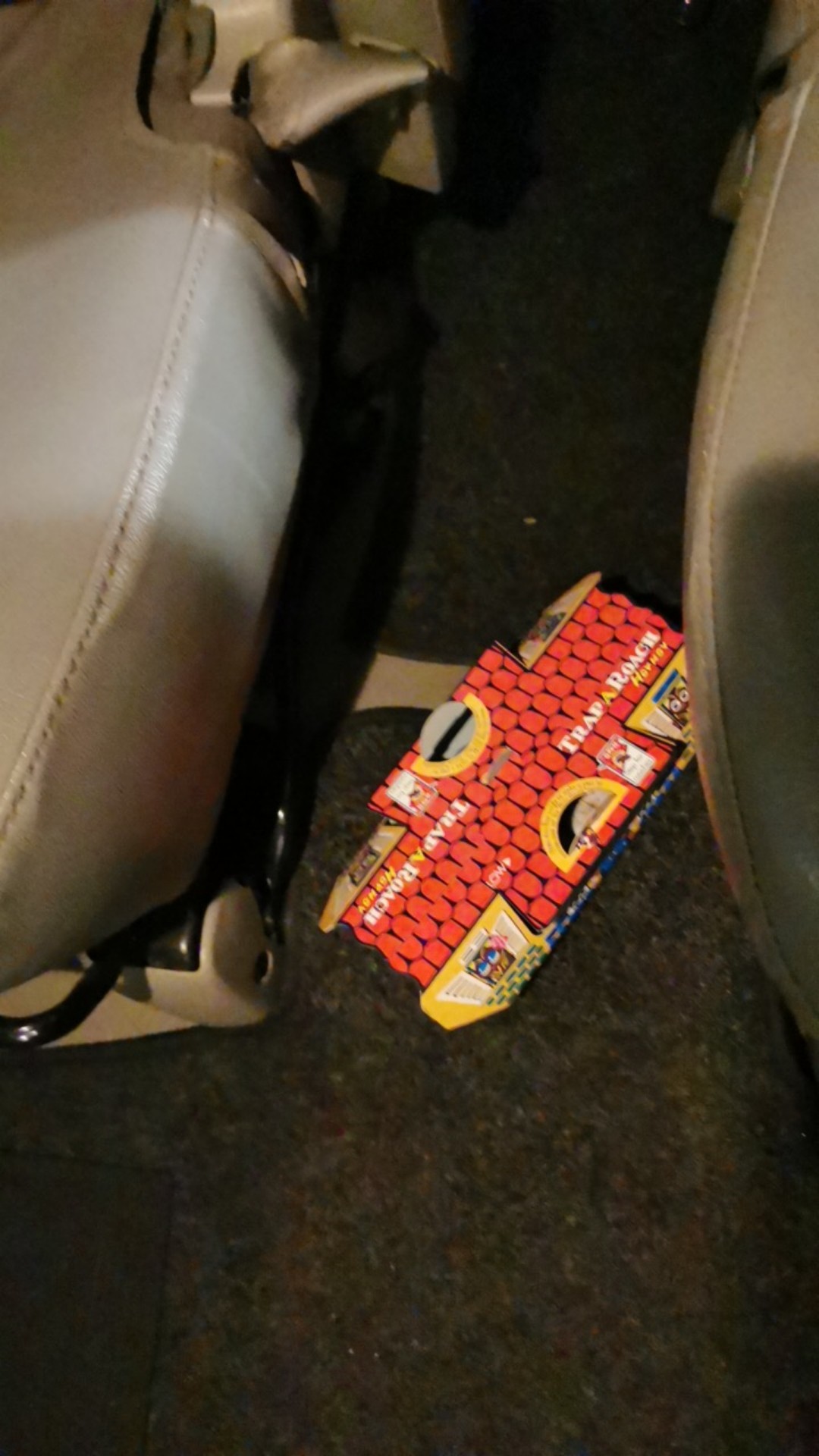 Rumah Kecoa Hoy Hoy Perangkap Kecoa Ampuh